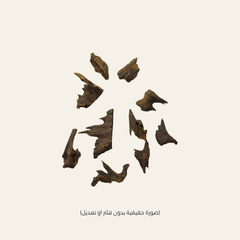 مروكي آصقون (الحجم ميني)