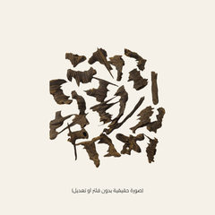 فيزا موري ملكي