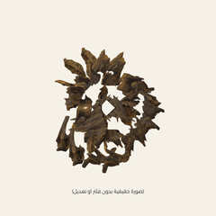 مروكي آصقون (الحجم ميني)