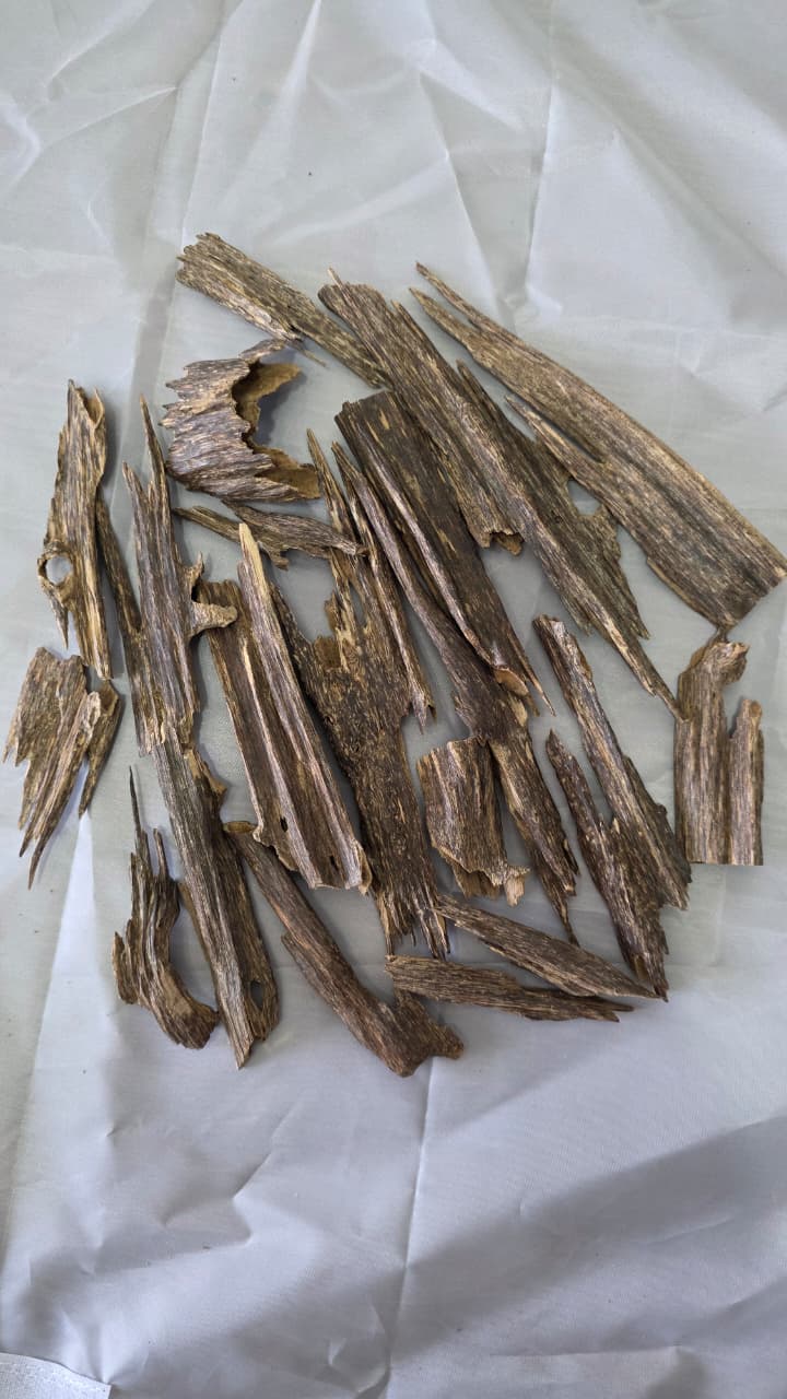 Zora Manipur Oud