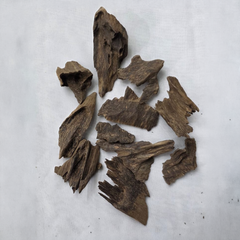 Jebora King Oud