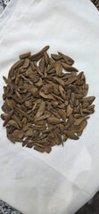 Marouki Asqoun Oud (Mini Size)
