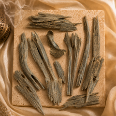 Amfal Oud