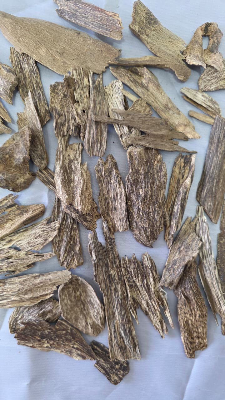 Malino Oud