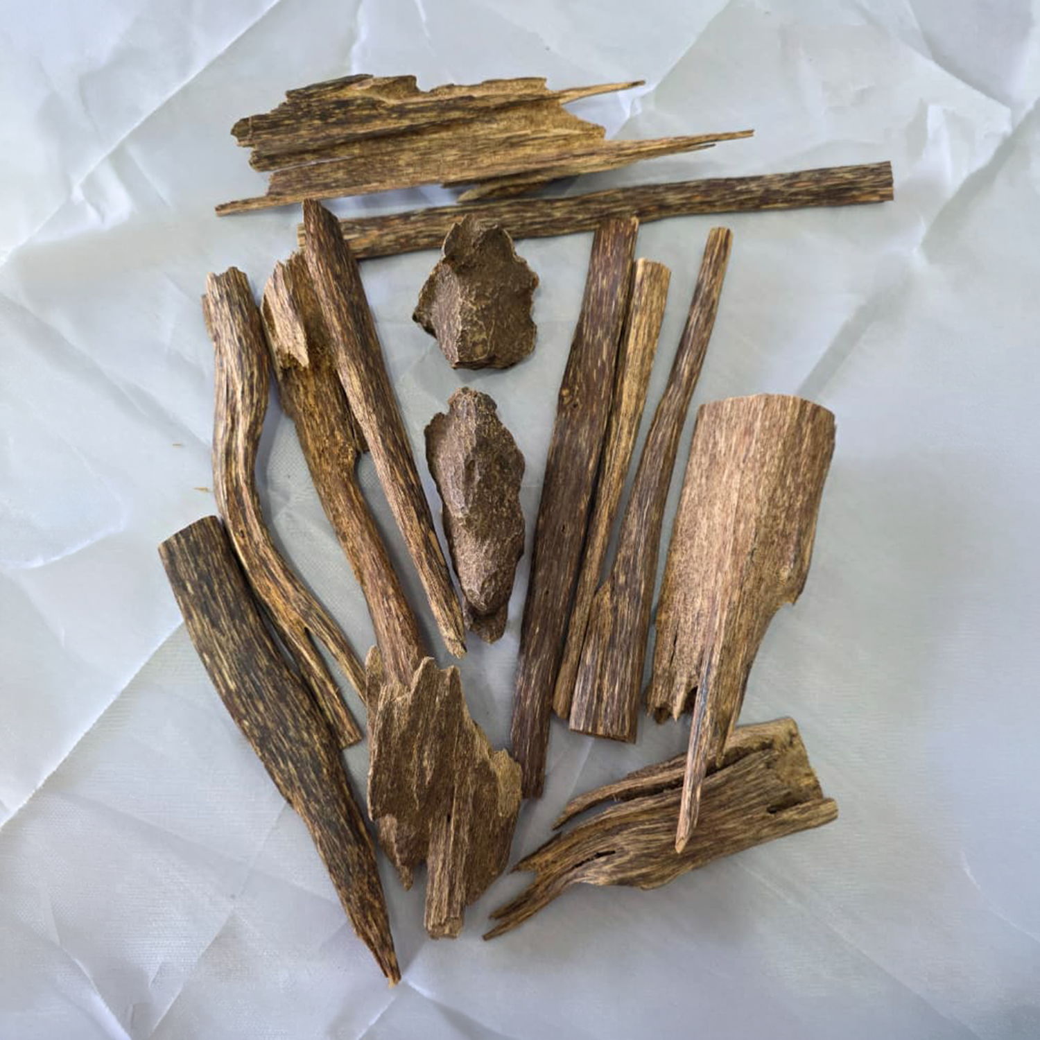 Cambodian Oud