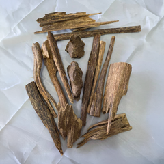 Cambodian Oud