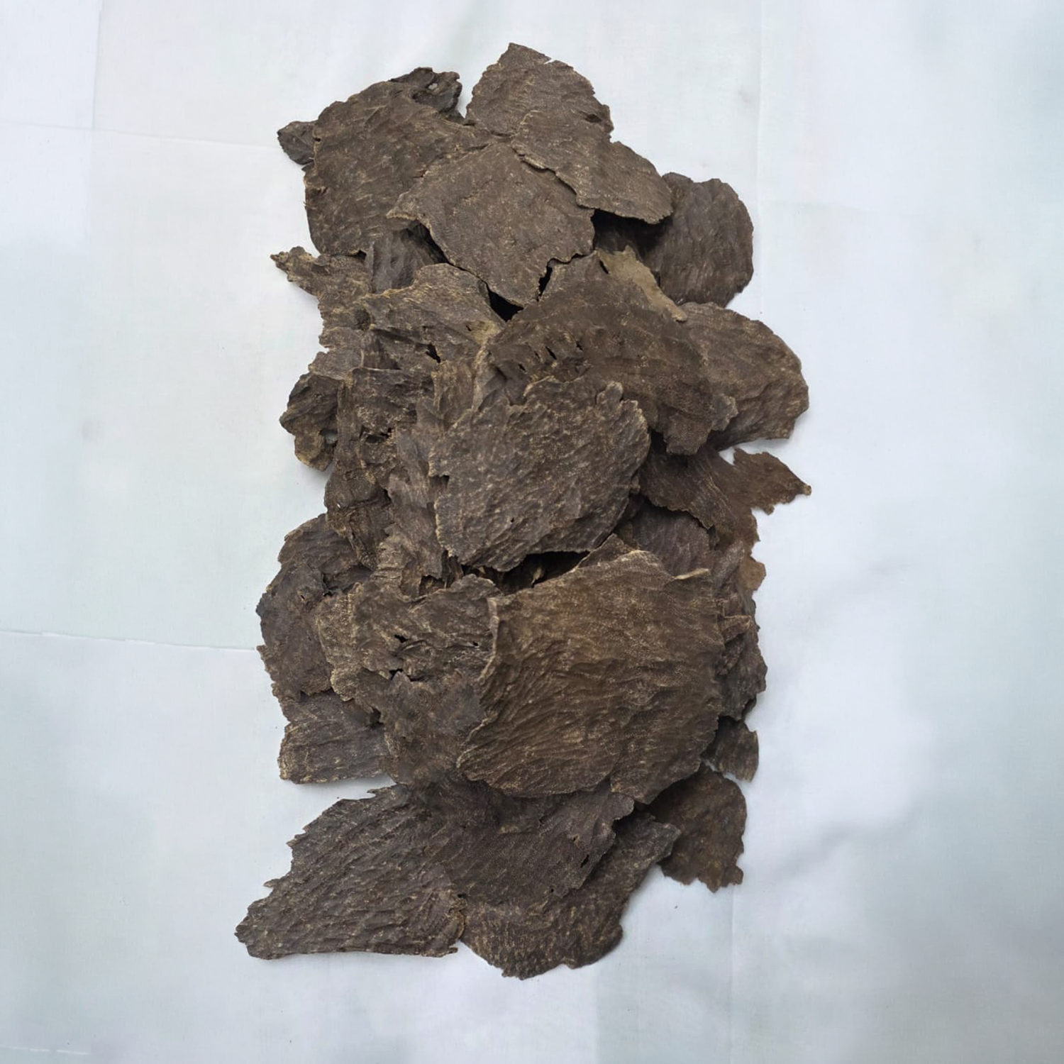Jar Al Ghabat Oud