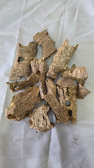 Vietnamese Shell Oud