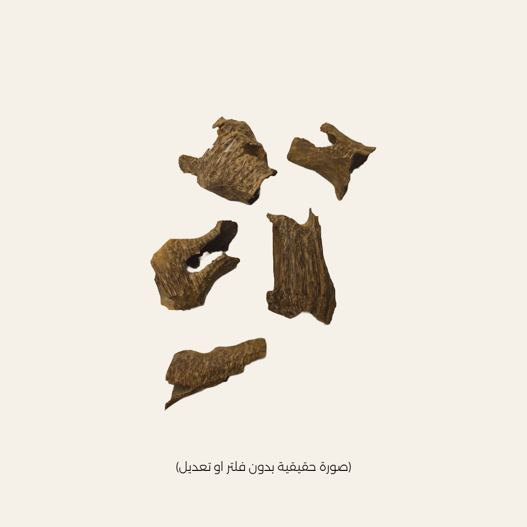 قواقع فتنامي