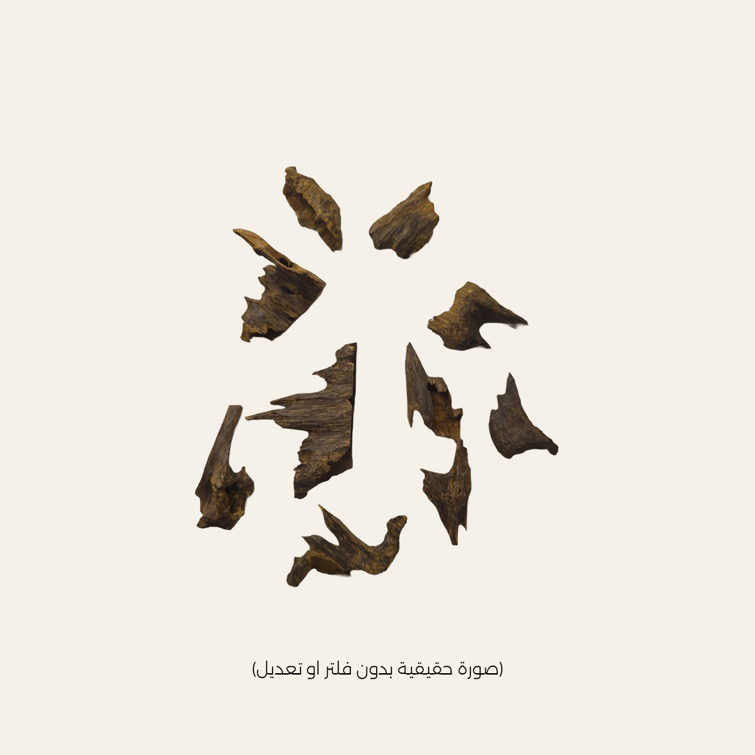 مروكي آصقون (الحجم ميني)